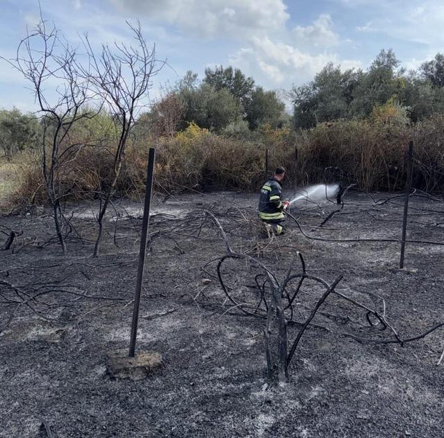 Muğla&rsquo;da &uuml;z&uuml;m bağları alevlere teslim oldu 1