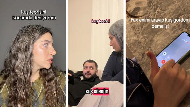 'Kuş Teorisi' TikTok'ta gündemde! İlişkinizi test edin: Sevgiliniz sizi ne kadar önemsiyor?