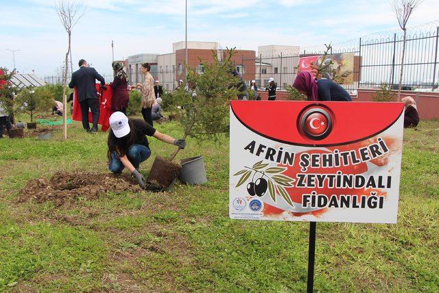 OMÜ’lü öğrenciler Afrin şehitleri için fidan dikti