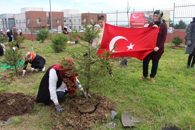 OMÜ’lü öğrenciler Afrin şehitleri için fidan dikti