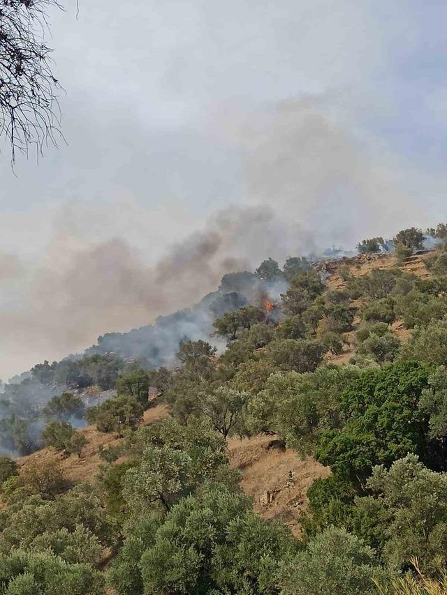 Bozdoğan’da orman yangını 2
