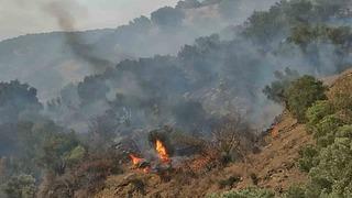 Bozdoğan’da orman yangını