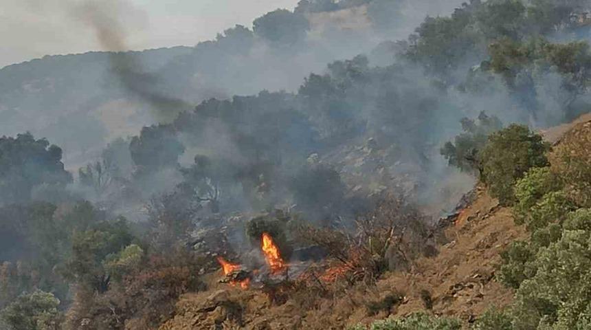 Bozdoğan’da orman yangını