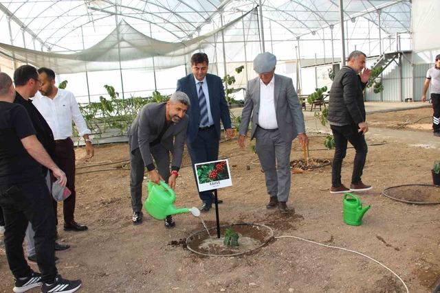 Çocuklara hem teorik hem uygulamalı eğitim 2