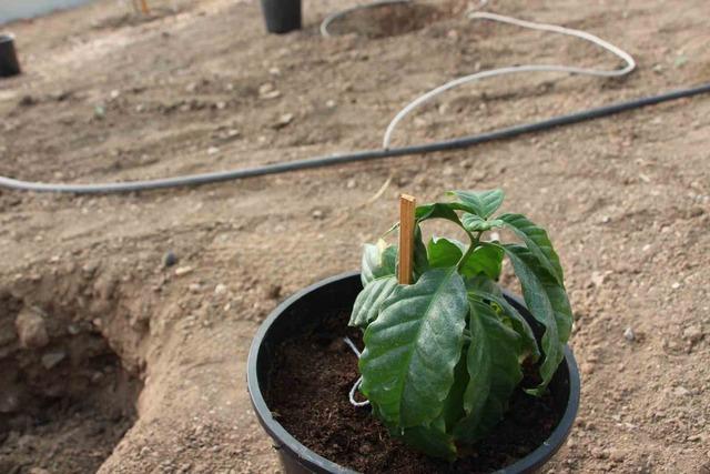 Çocuklara hem teorik hem uygulamalı eğitim 3