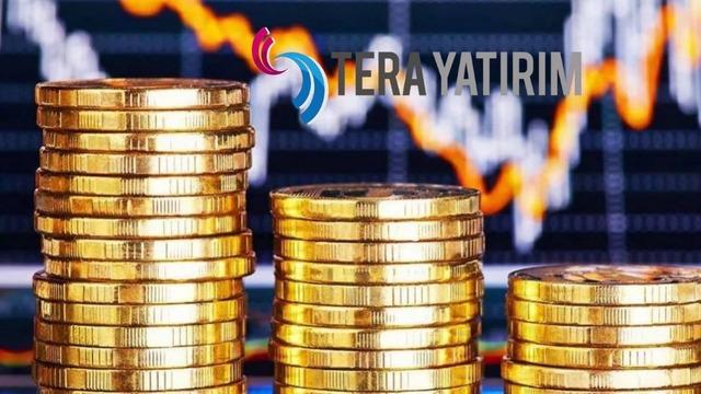 Tera Yatırım Holding (TRHOL) bedelsiz sermaye artırımı ne zaman?