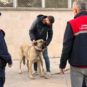 Son Dakika Haber Görseli