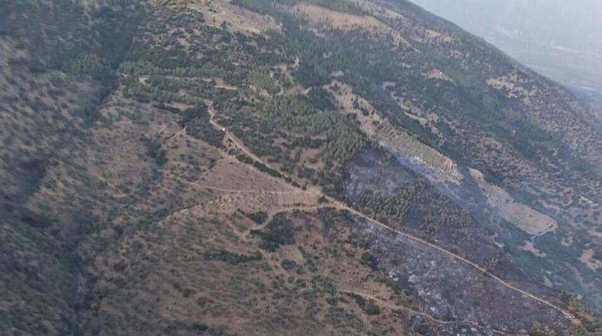 Aydın'da orman yangını! 1 kişi gözaltına alındı