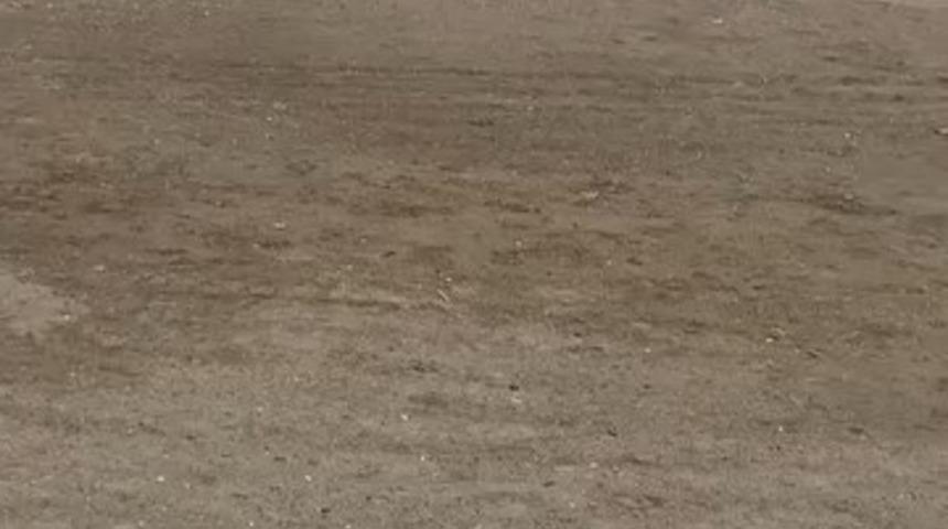 Mudanya sahilinde oltaya takılan martıyı vatandaş kurtardı