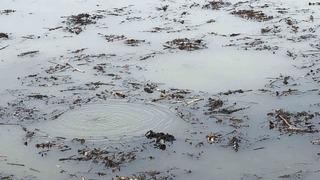 Önce Sapanca şimdi Efteni! Garip kabarcıklar kafaları karıştırdı: Hiç böyle bir şey görmedik, şaşkınız