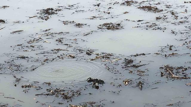 Önce Sapanca şimdi Efteni! Garip kabarcıklar kafaları karıştırdı: Hiç böyle bir şey görmedik, şaşkınız