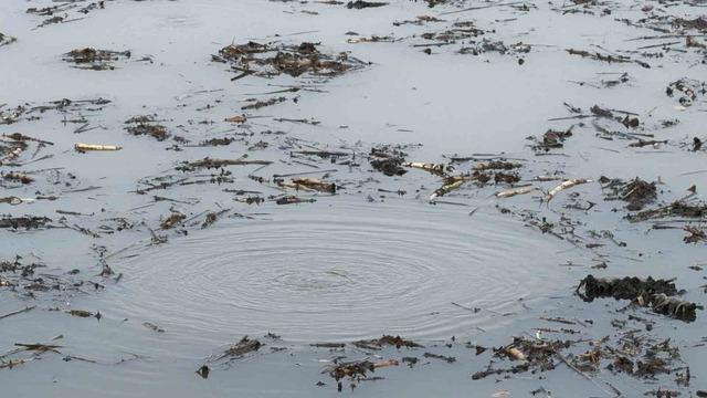 Önce Sapanca şimdi Efteni! Garip kabarcıklar kafaları karıştırdı: "Hiç böyle bir şey görmedik, şaşkınız" 1