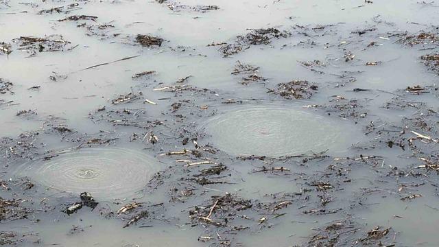 Önce Sapanca şimdi Efteni! Garip kabarcıklar kafaları karıştırdı: "Hiç böyle bir şey görmedik, şaşkınız" 2