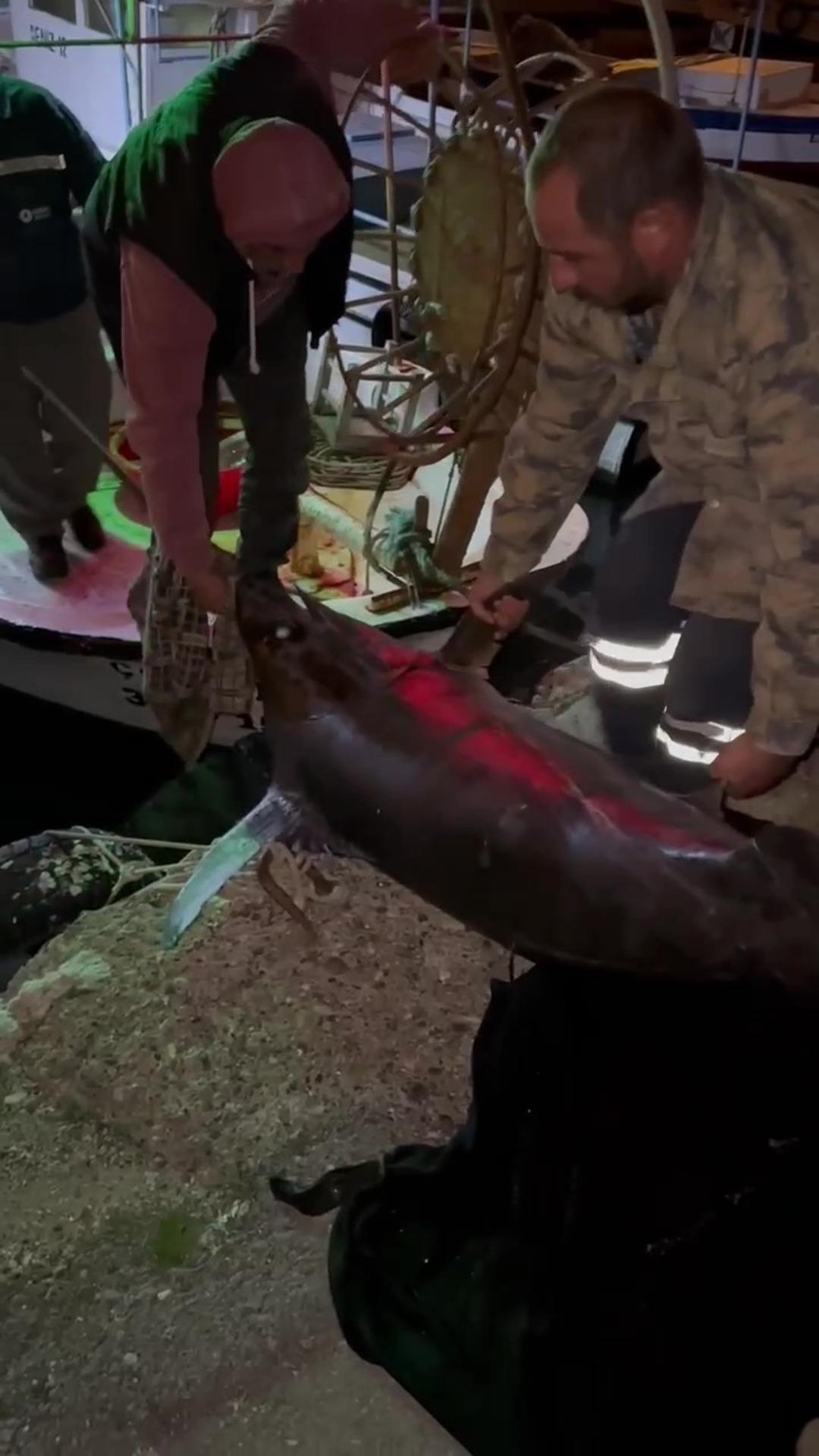 65 bin TL ye satıldı! 2,5 saat uğraştılar Yılda bir denk gelir 2