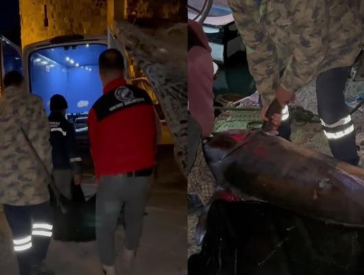 65 bin TL'ye satıldı! 2,5 saat uğraştılar 'Yılda bir denk gelir'