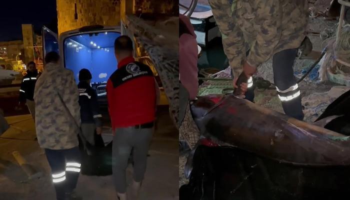 65 bin TL'ye satıldı! 2,5 saat uğraştılar 'Yılda bir denk gelir'