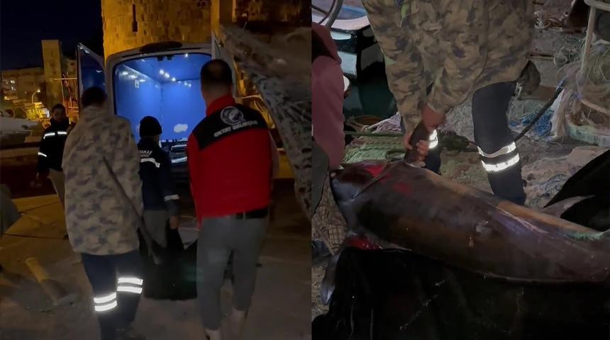 65 bin TL'ye satıldı! 2,5 saat uğraştılar 'Yılda bir denk gelir'