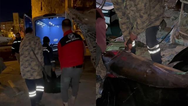 65 bin TL'ye sattı! 2,5 saat uğraştılar 'Yılda bir denk gelir'