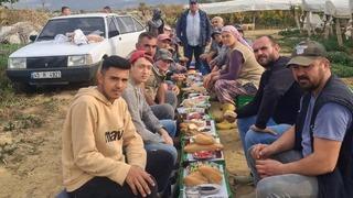 Üzüm alıcısından işçilere ziyafet