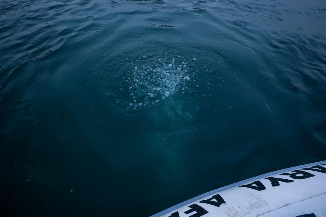 Önce Sapanca şimdi Efteni! Garip kabarcıklar kafaları karıştırdı: "Hiç böyle bir şey görmedik, şaşkınız" 5