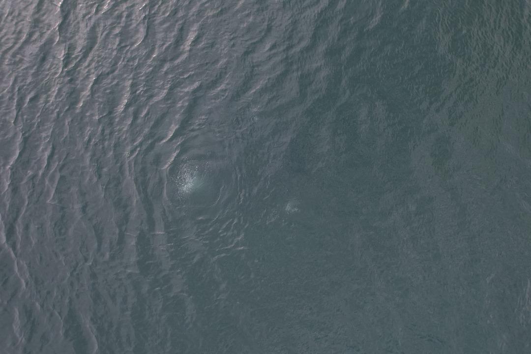 Önce Sapanca şimdi Efteni! Garip kabarcıklar kafaları karıştırdı: "Hiç böyle bir şey görmedik, şaşkınız" 6