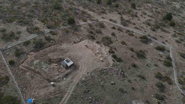 Dünyada sadece 3 yerde görülen doğa olayı: Akbabaların yiyecek döngüsü 8