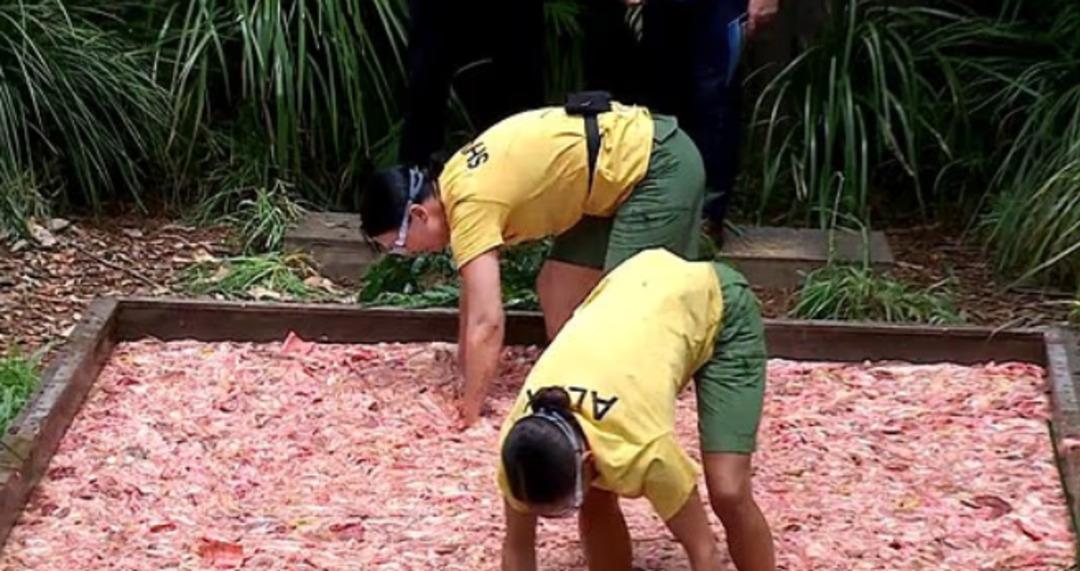 Ekran görüntüsü 2025-11-23 144756