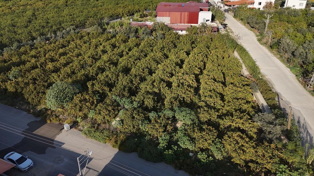 Fiyatı 2 TL ye düştü ücretsiz verdiler Marketlerde 30 TL 4