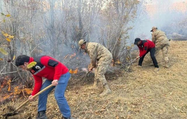 Hakkari de ağaçlık alanda çıkan yangın kontrol altına alındı 1