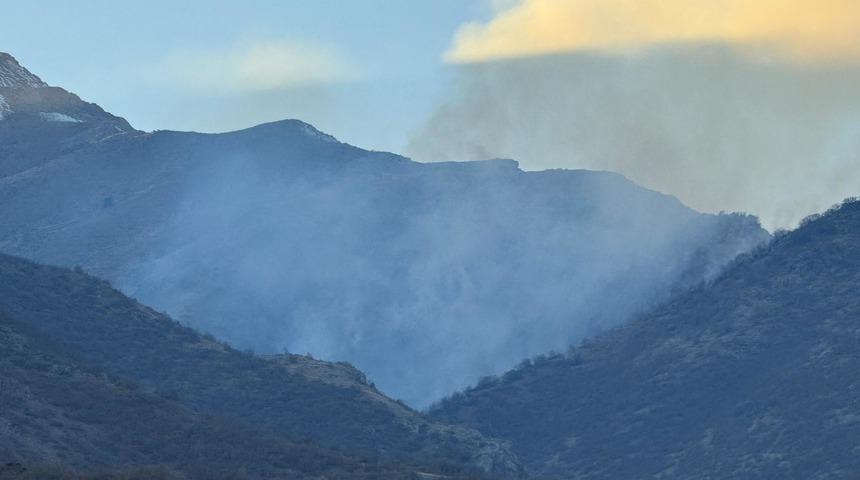 Hakkari'de ağaçlık alanda çıkan yangın kontrol altına alındı