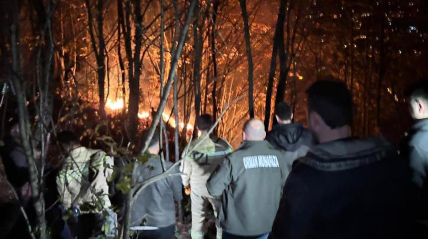 Ordu'da ormanlık alanda yangın