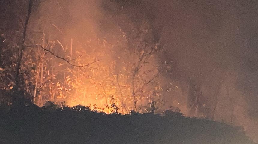 Trabzon'da örtü yangını! Kontrol altına alındı