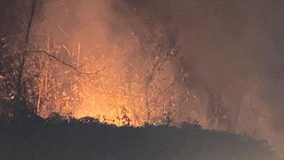 Trabzon'da örtü yangını! Kontrol altına alındı