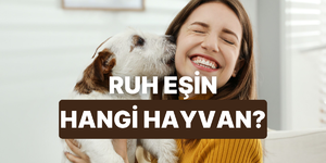 Senin ruh eşin hangi hayvan?