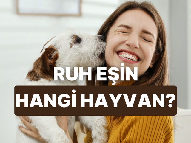 Senin ruh eşin hangi hayvan?