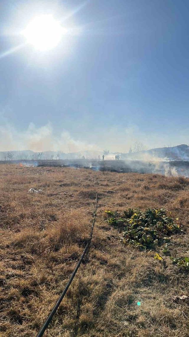 Tarlada çıkan yangın söndürüldü 1