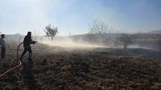 Tarlada çıkan yangın söndürüldü