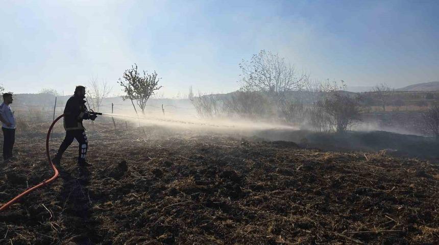 Tarlada çıkan yangın söndürüldü