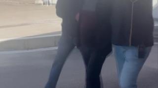 Adana'da FETÖ firarisi öğretmen yakalandı: Özel harekât polislerinden sorumluymuş