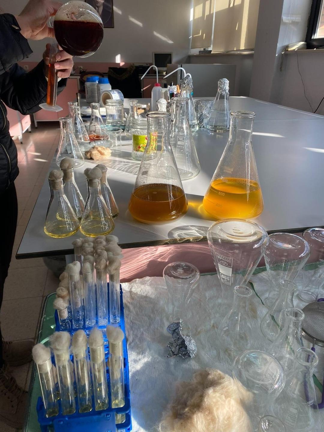 Bu bitki sarı kantarondan daha etkili: "Doğal ila&ccedil;, gıda takviyesi olarak kullanılabilir" 3