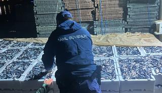 Doğu Karadeniz'de hamsi büyüklüğü ve bolluğuyla yüzleri güldürüyor