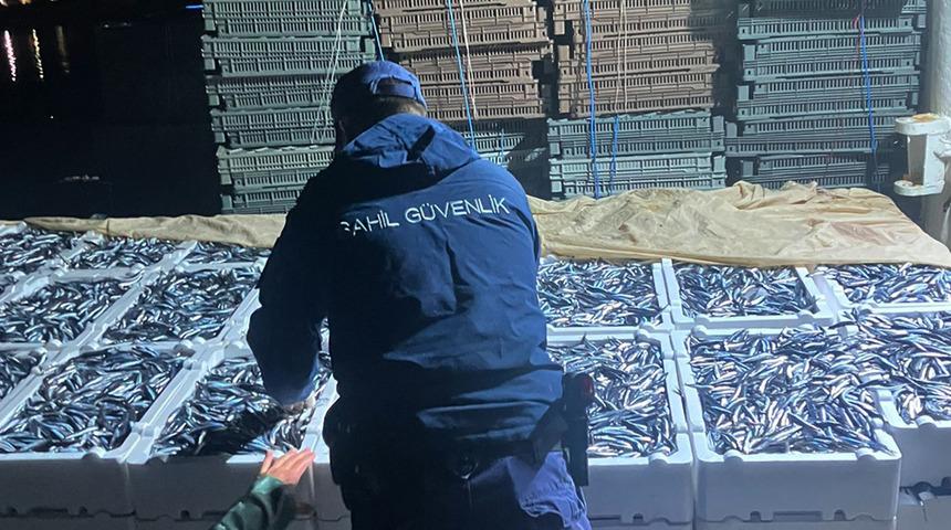 Doğu Karadeniz'de hamsi büyüklüğü ve bolluğuyla yüzleri güldürüyor