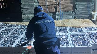 Doğu Karadeniz'de hamsi büyüklüğü ve bolluğuyla yüzleri güldürüyor