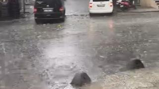 İstanbul dolu yağışı etkili oldu