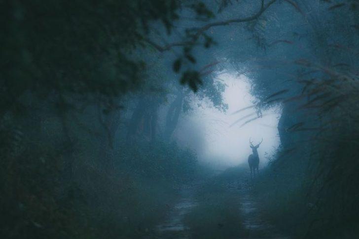 Hayatın içinden çarpıcı fotoğraflar G4