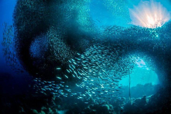 Hayatın içinden çarpıcı fotoğraflar G5