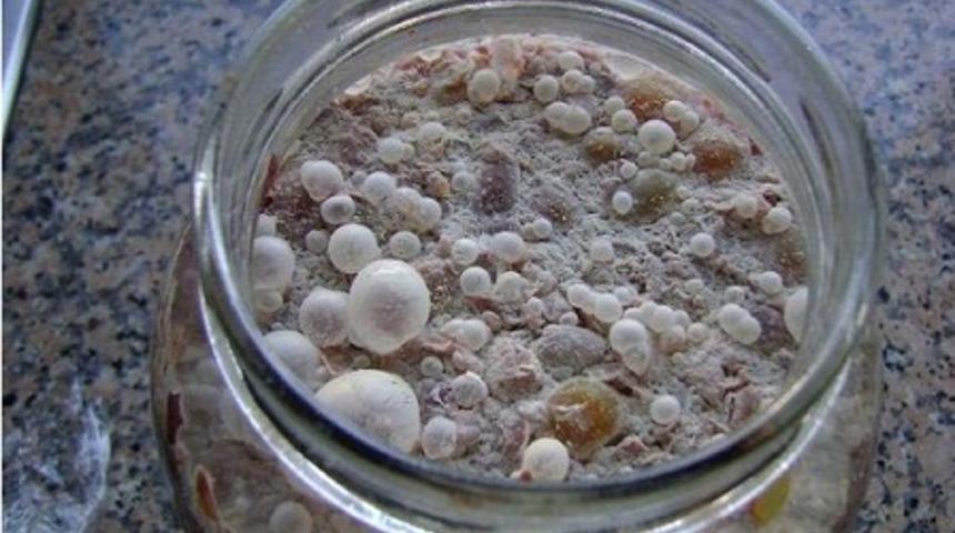 Turşunuzun üzerinde beyaz tabaka varsa aman dikkat!