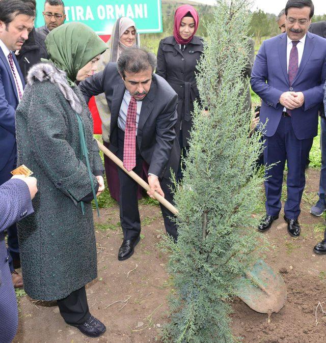 Diyarbakır'da 'Tenzile Erdoğan Hatıra Ormanı' kuruldu