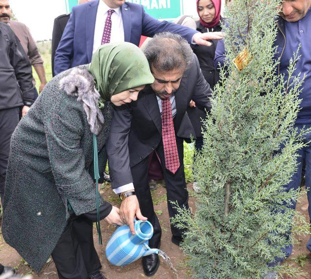 Diyarbakır'da 'Tenzile Erdoğan Hatıra Ormanı' kuruldu