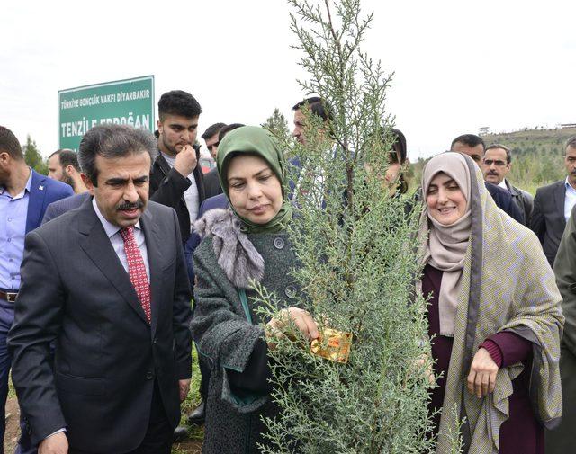 Diyarbakır'da 'Tenzile Erdoğan Hatıra Ormanı' kuruldu